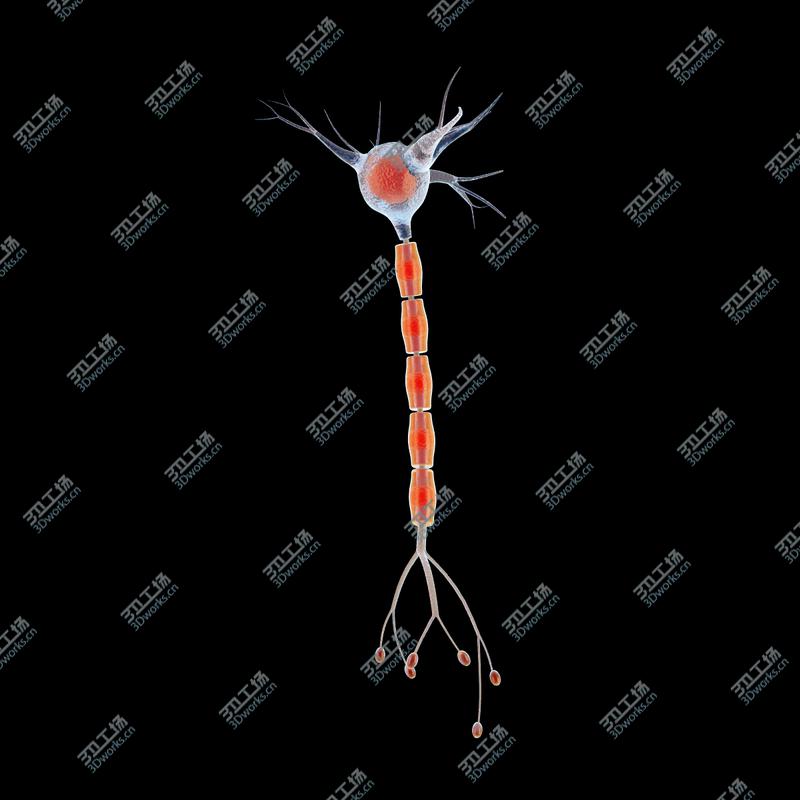 images/goods_img/20210313/Microscopic Collection/2.jpg